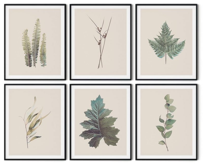 Vintage Leaves Framed Wall Art (Set of 6), Wall Frame