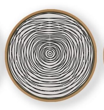 Set of 3 Trendy Outline Spots - Circular Wooden Frames