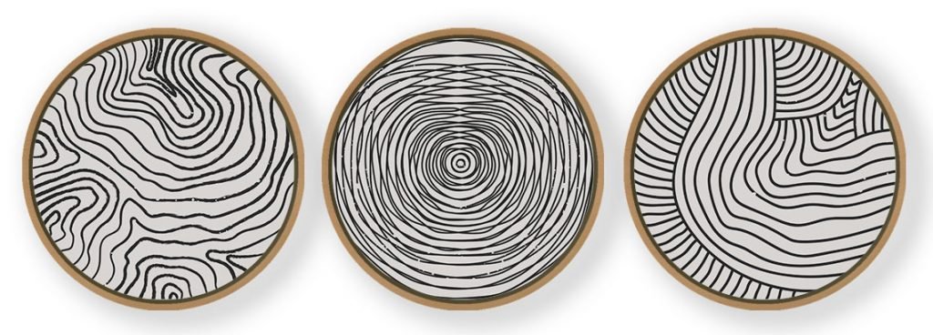 Set of 3 Trendy Outline Spots - Circular Wooden Frames