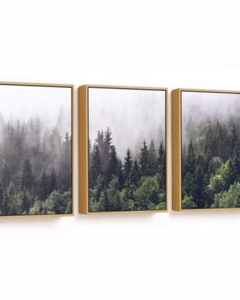 Set of 3 green foggy forest