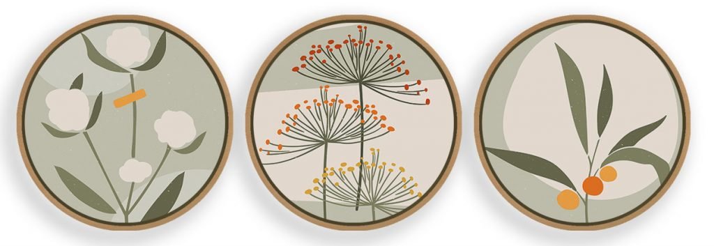 Set of 3 abstract flower and plant,Wall Frame